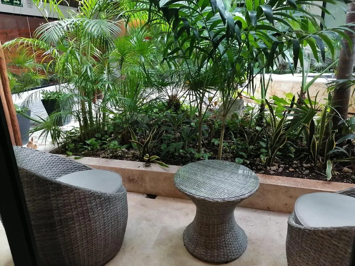 Apartman Downtown Stay Playa del Carmen Mexikó